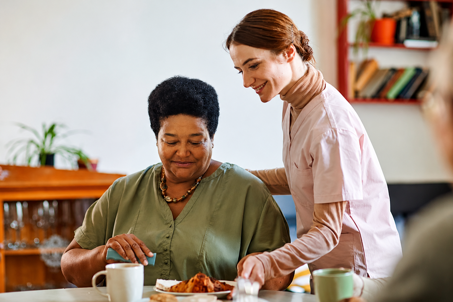 Home care caregiver with client